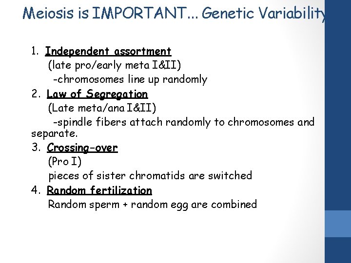 Meiosis is IMPORTANT… Genetic Variability 1. Independent assortment (late pro/early meta I&II) -chromosomes line