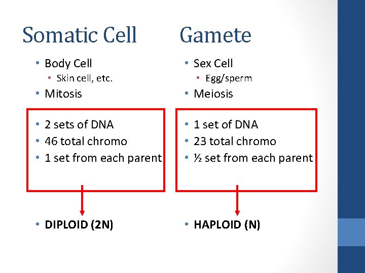 Somatic Cell • Body Cell • Skin cell, etc. Gamete • Sex Cell •