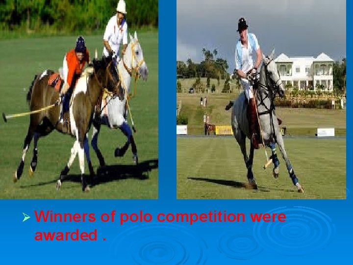 polo Ø Winners of polo competition were awarded. 