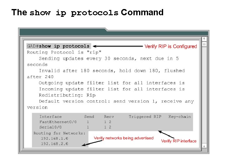 The show ip protocols Command 