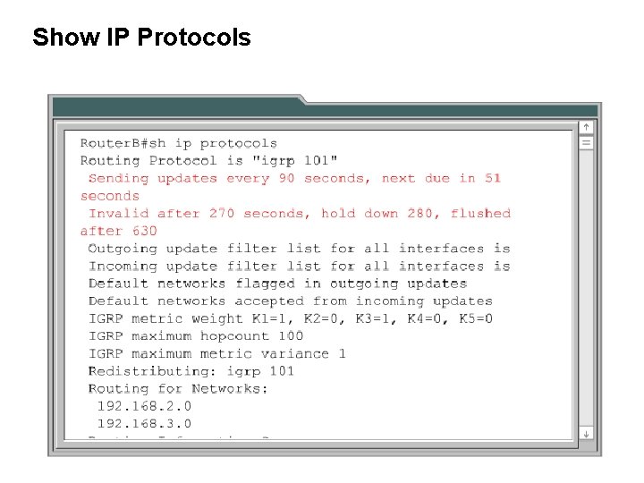 Show IP Protocols 