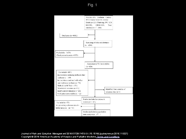 Fig. 1 Journal of Pain and Symptom Management 2016 51728 -747 DOI: (10. 1016/j.