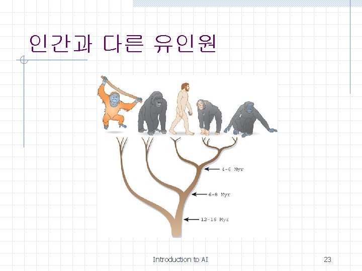 인간과 다른 유인원 Introduction to AI 23 