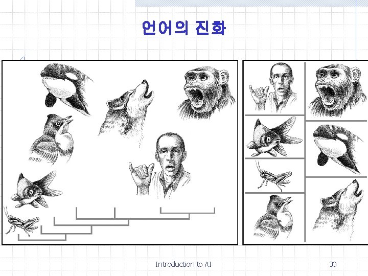 언어의 진화 Introduction to AI 30 