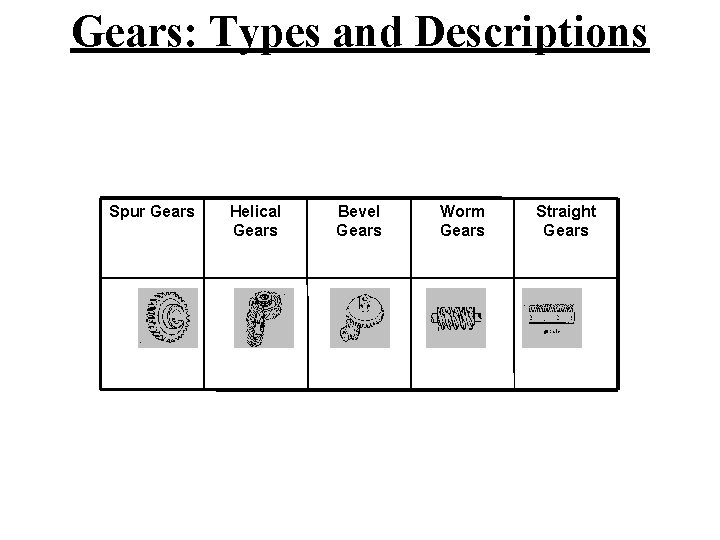 Gears: Types and Descriptions Spur Gears Helical Gears Bevel Gears Worm Gears Straight Gears