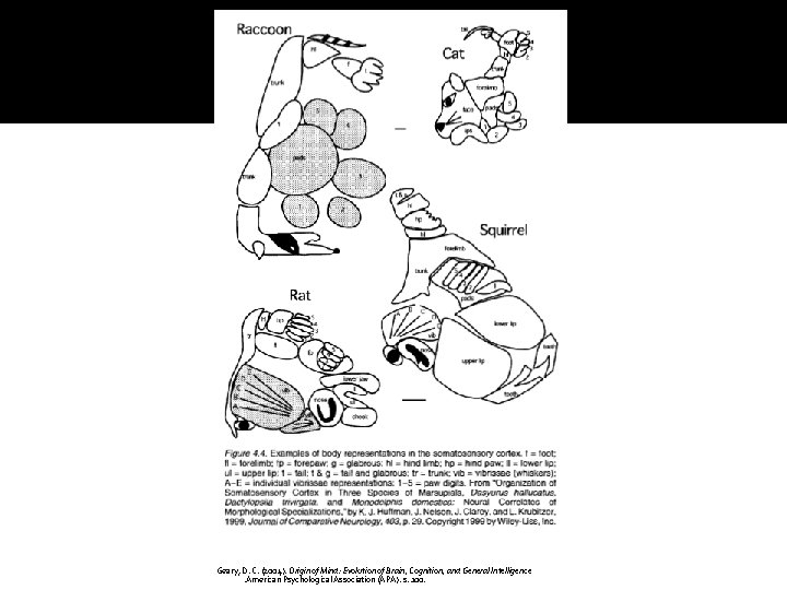 Geary, D. C. (2004). Origin of Mind: Evolution of Brain, Cognition, and General Intelligence. Geary, D. C. (2004). Origin of Mind: Evolution of Brain, Cognition, and General Intelligence.