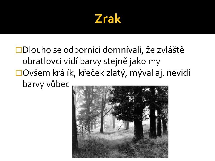 Zrak �Dlouho se odborníci domnívali, že zvláště obratlovci vidí barvy stejně jako my �Ovšem