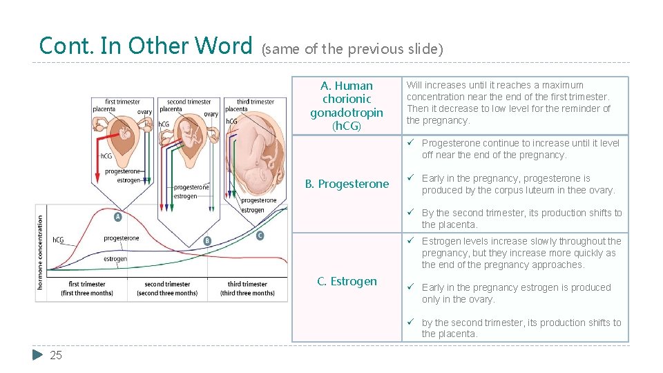 Cont. In Other Word (same of the previous slide) A. Human chorionic gonadotropin (h.