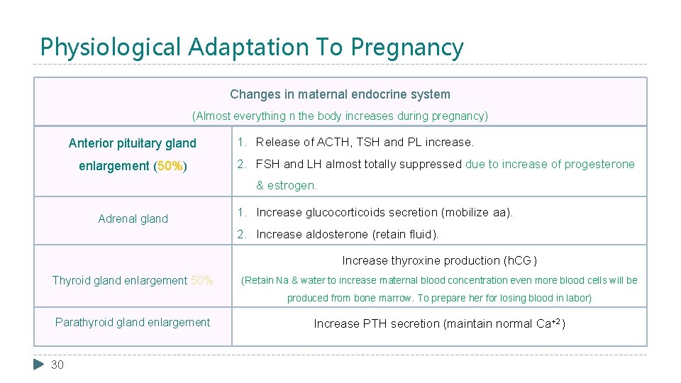 Physiological Adaptation To Pregnancy Changes in maternal endocrine system (Almost everything n the body