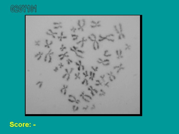 Score: - 