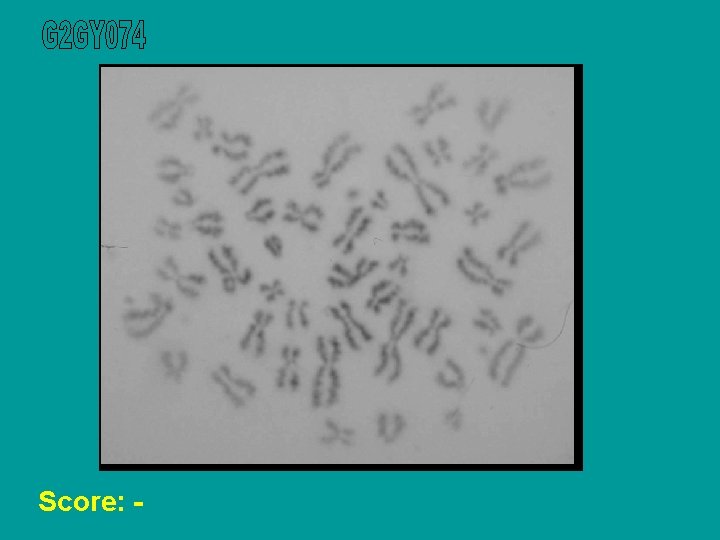 Score: - 