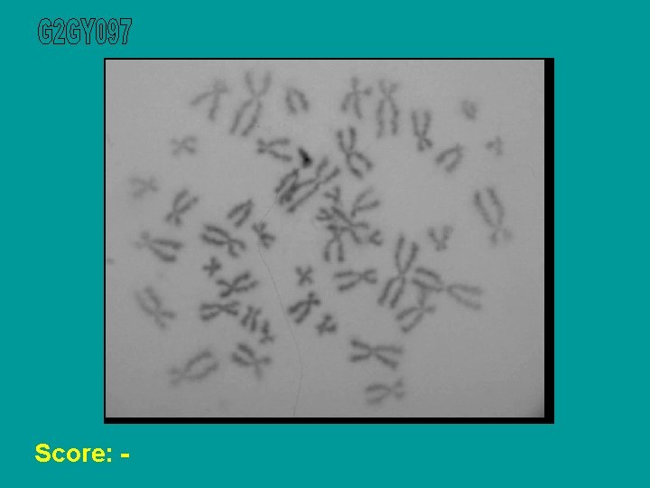 Score: - 