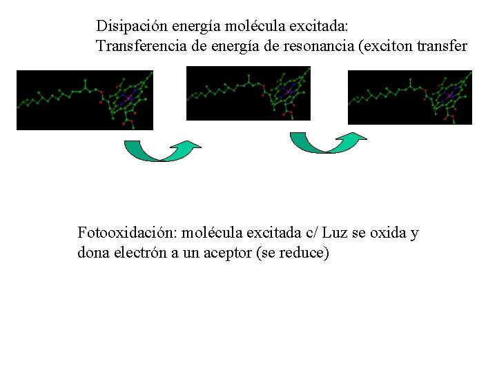 Disipación energía molécula excitada: Transferencia de energía de resonancia (exciton transfer Fotooxidación: molécula excitada