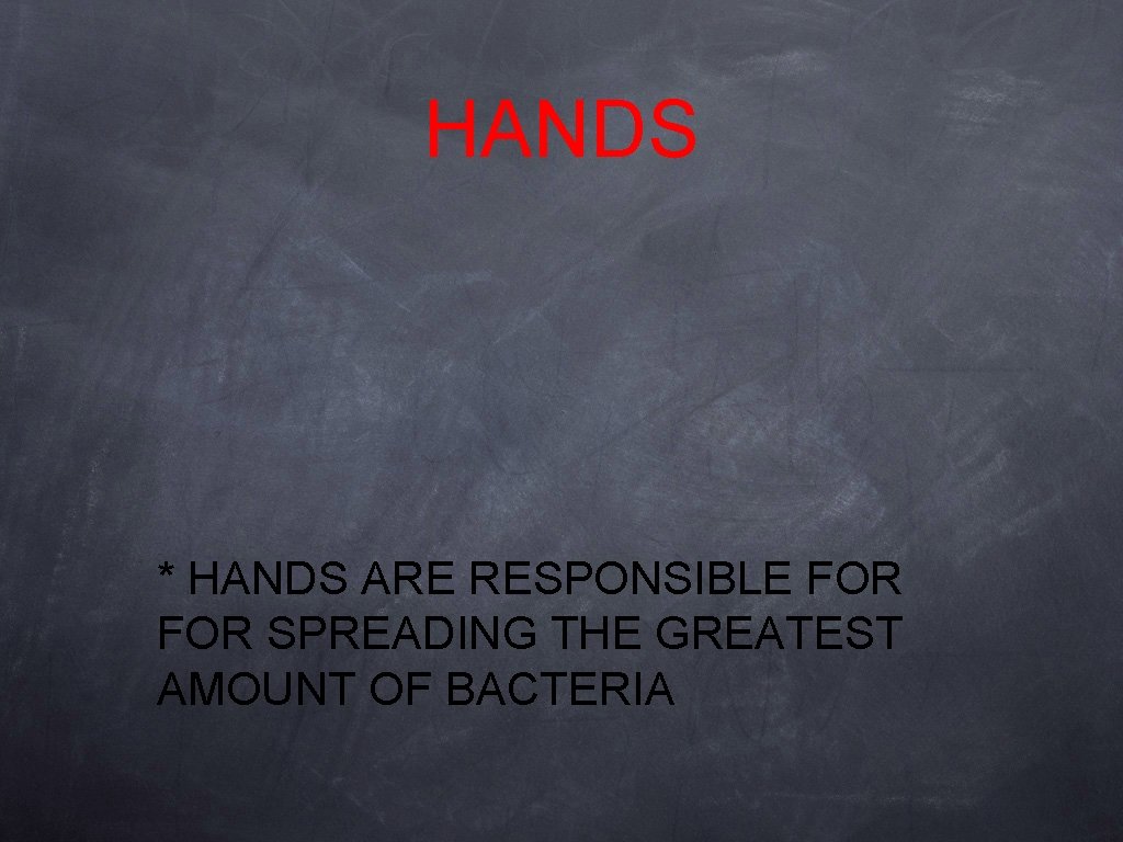 HANDS * HANDS ARE RESPONSIBLE FOR SPREADING THE GREATEST AMOUNT OF BACTERIA 