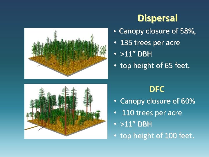 Dispersal • Canopy closure of 58%, • 135 trees per acre • >11” DBH