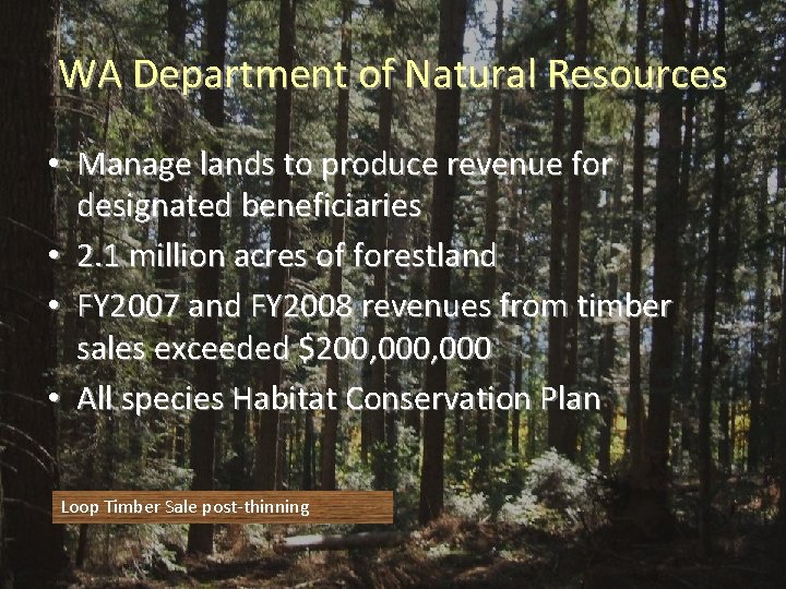 WA Department of Natural Resources • Manage lands to produce revenue for designated beneficiaries