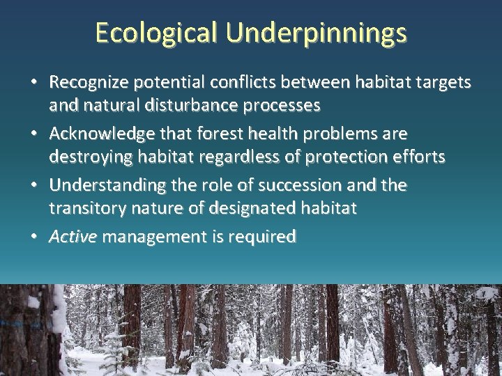 Ecological Underpinnings • Recognize potential conflicts between habitat targets and natural disturbance processes •