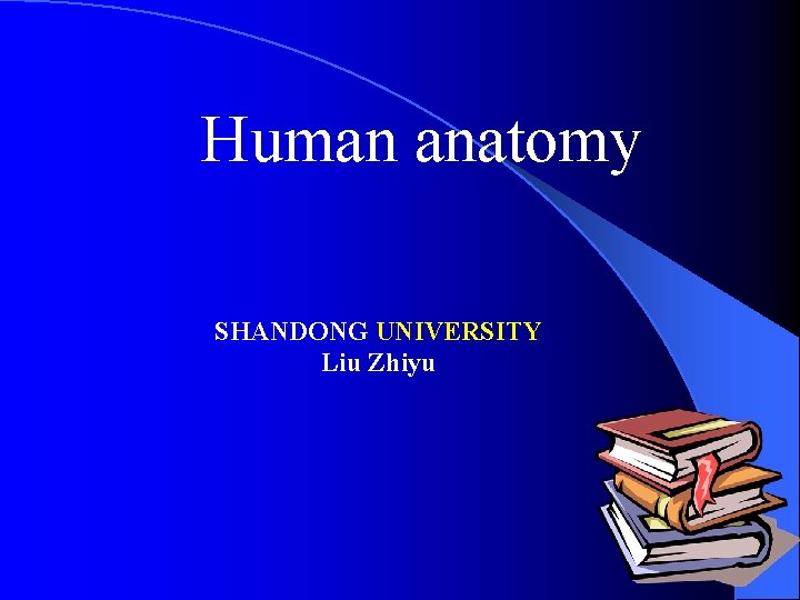 Human anatomy SHANDONG UNIVERSITY Liu Zhiyu 