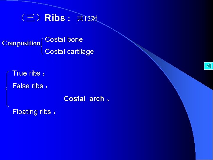 （三）Ribs : 共 12对 Composition Costal bone Costal cartilage True ribs ： False ribs