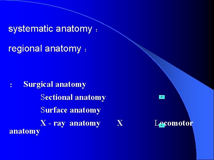 systematic anatomy ： regional anatomy ： ： Surgical anatomy Sectional anatomy Surface anatomy X