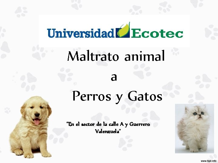 Maltrato animal a Perros y Gatos “En el sector de la calle A y