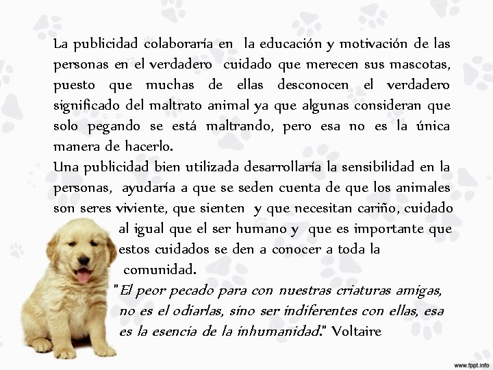 La publicidad colaboraría en la educación y motivación de las personas en el verdadero