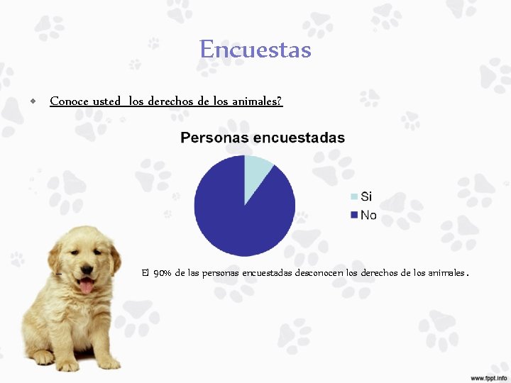 Encuestas • Conoce usted los derechos de los animales? – El 90% de las