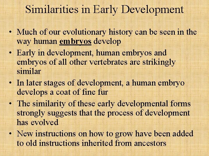 Similarities in Early Development • Much of our evolutionary history can be seen in