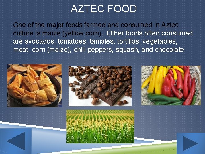 AZTEC FOOD One of the major foods farmed and consumed in Aztec culture is