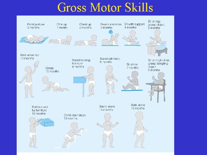 Gross Motor Skills 