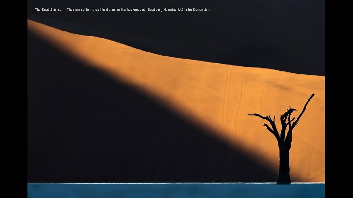 'The Dead Silence' – The sunrise lights up the dunes in the background, Deadvlei,
