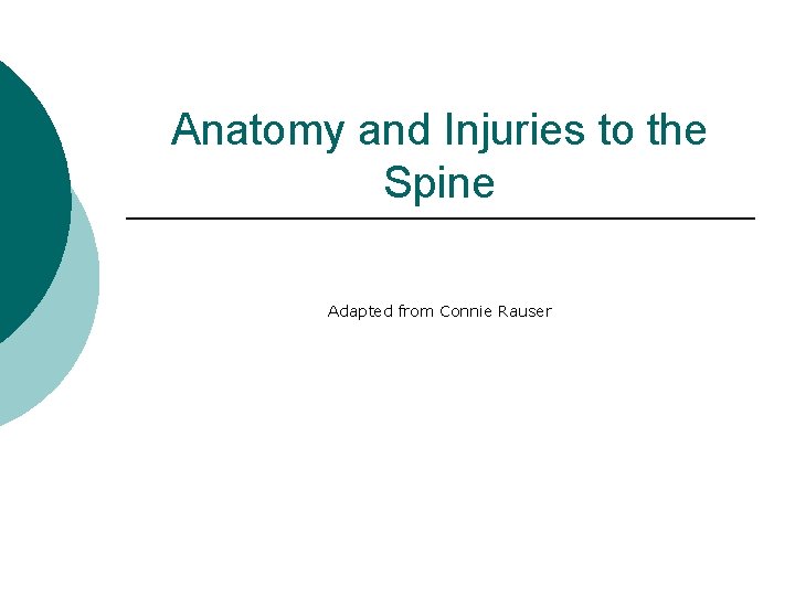 Anatomy and Injuries to the Spine Adapted from Connie Rauser 