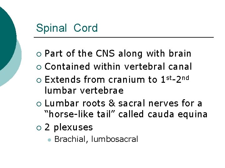 Spinal Cord Part of the CNS along with brain ¡ Contained within vertebral canal