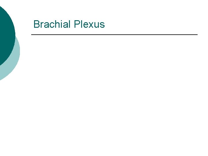 Brachial Plexus 