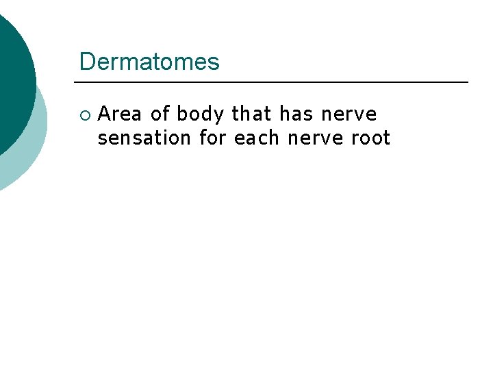 Dermatomes ¡ Area of body that has nerve sensation for each nerve root 