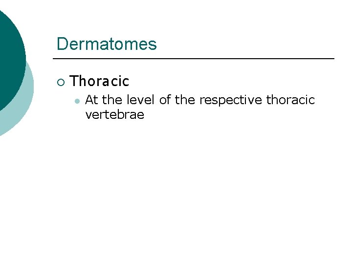 Dermatomes ¡ Thoracic l At the level of the respective thoracic vertebrae 