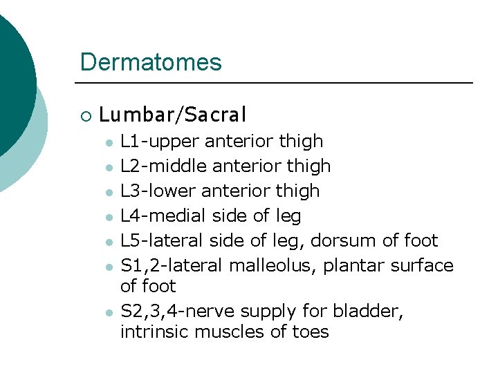 Dermatomes ¡ Lumbar/Sacral l l l L 1 -upper anterior thigh L 2 -middle