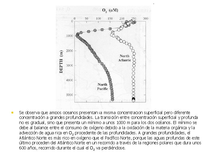  • Se observa que ambos océanos presentan la misma concentración superficial pero diferente