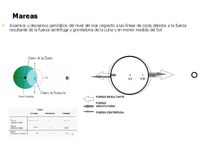 Mareas • Ascensos y descensos periódicos del nivel del mar respecto a las líneas
