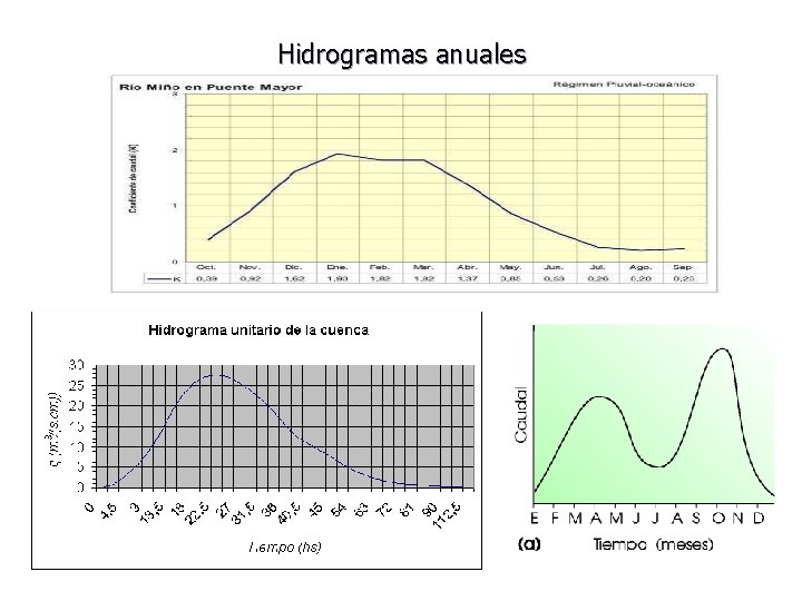 Hidrogramas anuales 