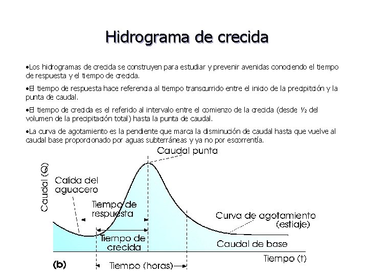 Hidrograma de crecida • Los hidrogramas de crecida se construyen para estudiar y prevenir