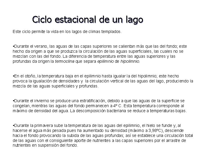 Ciclo estacional de un lago Este ciclo permite la vida en los lagos de