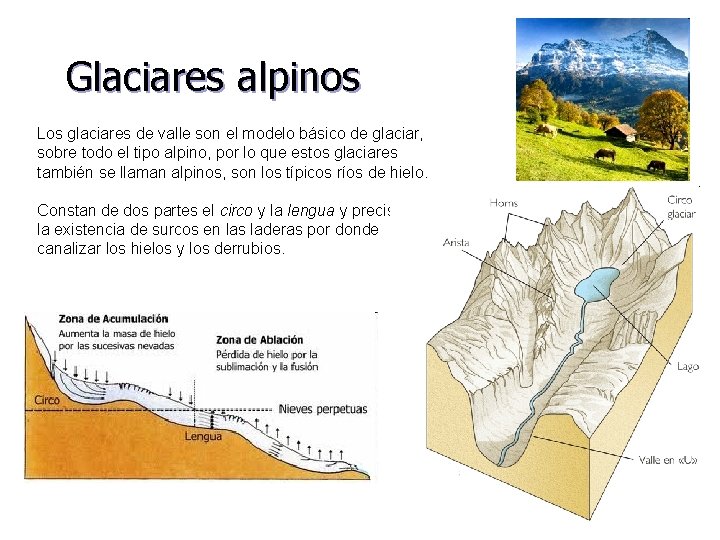 Glaciares alpinos Los glaciares de valle son el modelo básico de glaciar, sobre todo
