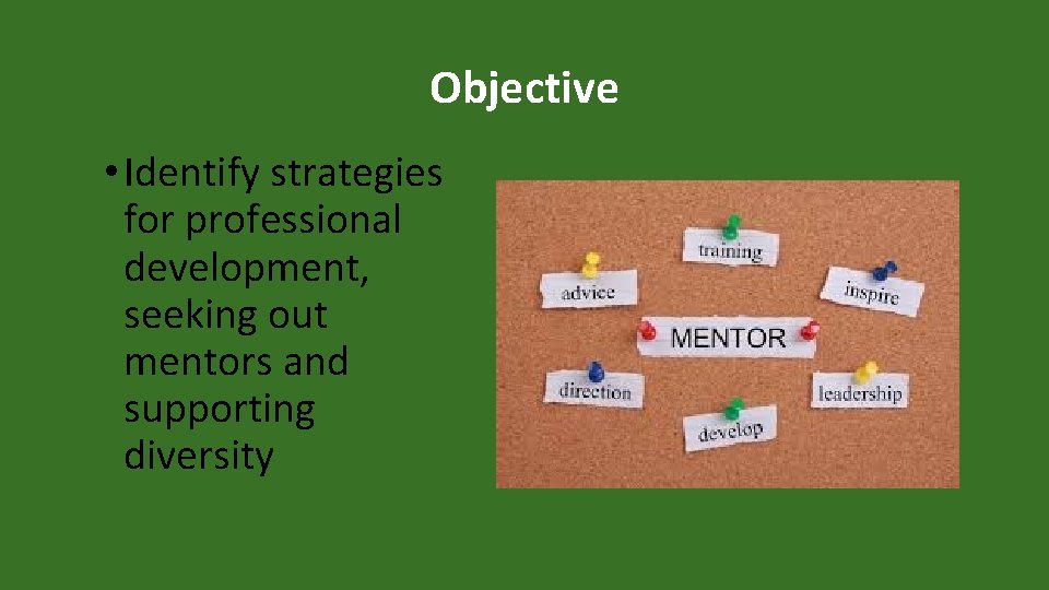 Objective • Identify strategies for professional development, seeking out mentors and supporting diversity 