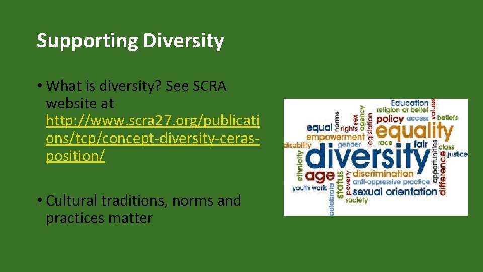 Supporting Diversity • What is diversity? See SCRA website at http: //www. scra 27.