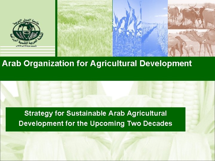 Arab Organization for Agricultural Development Strategy for Sustainable Arab Agricultural Development for the Upcoming