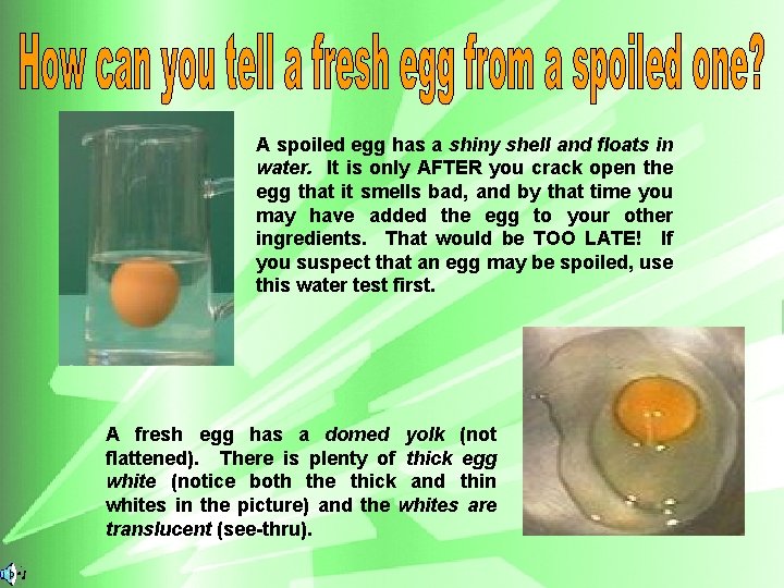 A spoiled egg has a shiny shell and floats in water. It is only