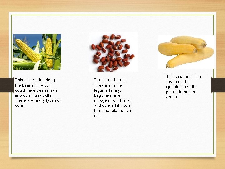 This is corn. It held up the beans. The corn could have been made