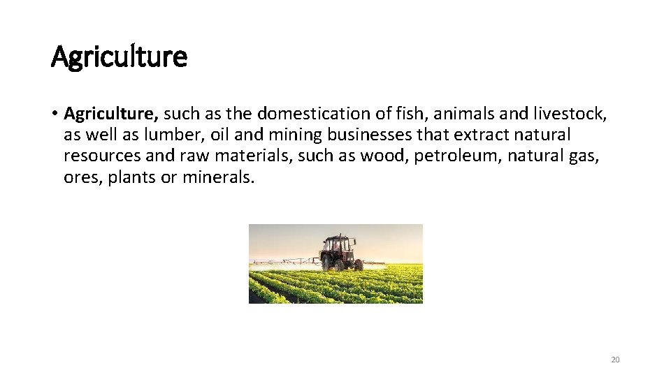Agriculture • Agriculture, such as the domestication of fish, animals and livestock, as well