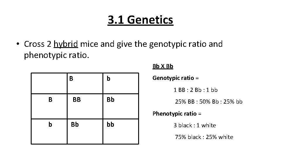 3. 1 Genetics • Cross 2 hybrid mice and give the genotypic ratio and